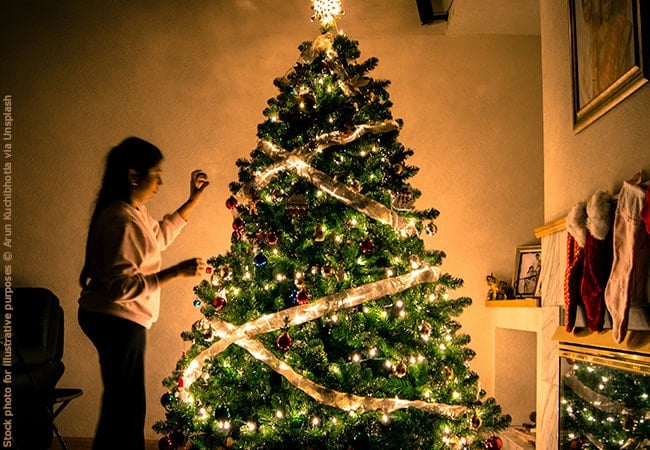 Unpacking Christmas for Curious Minds